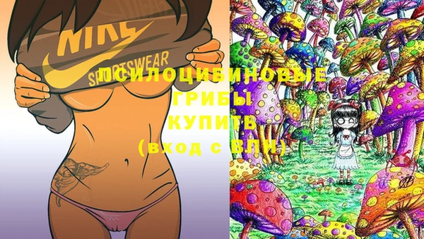 MESCALINE Елизово