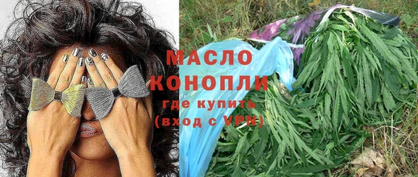 молекула духа Гусиноозёрск