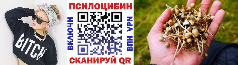OMG ссылка  Володарск  Псилоцибиновые грибы Psilocybine cubensis 