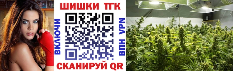 Бошки марихуана планчик  Володарск 